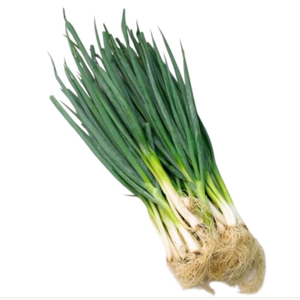 

Daun Bawang 250 gram