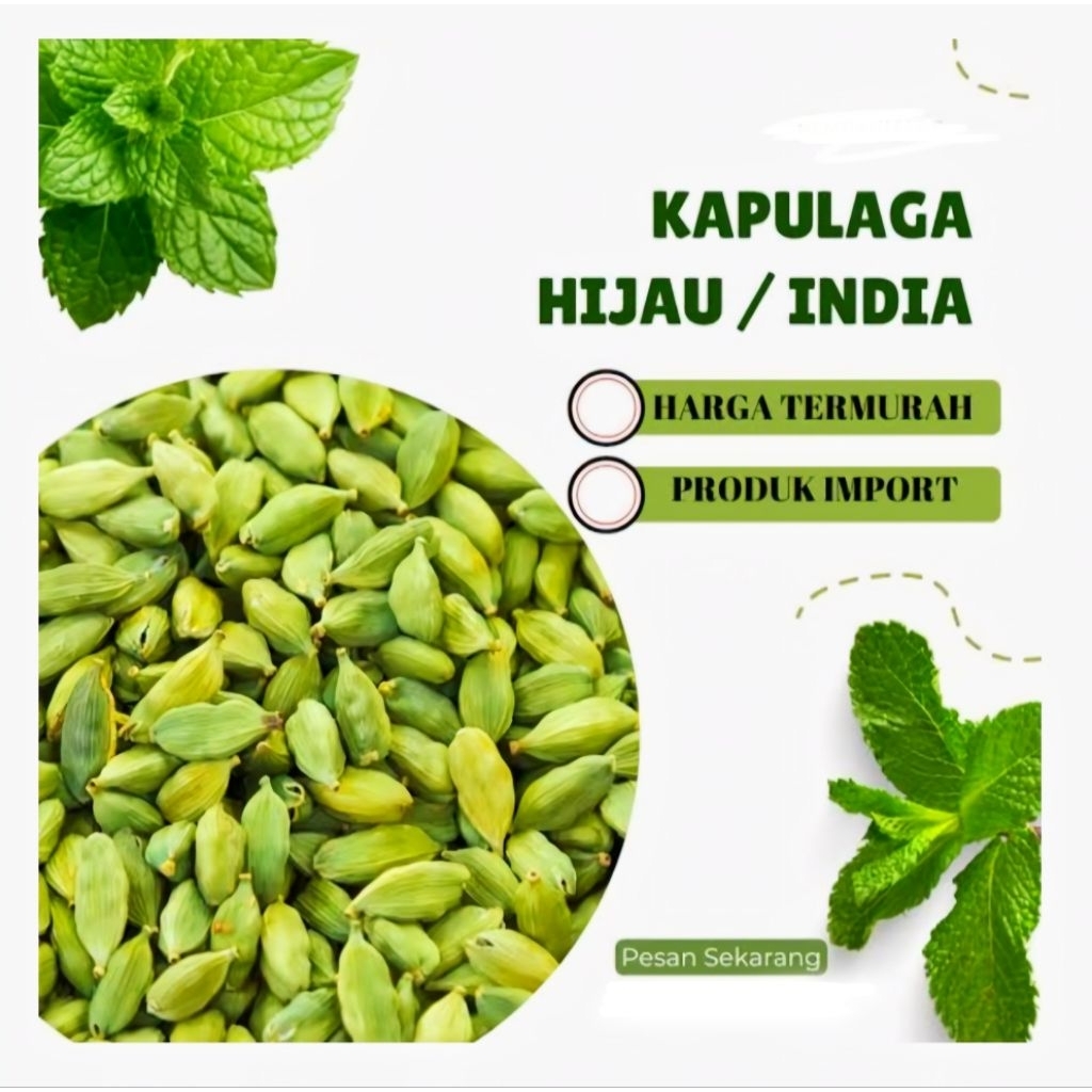 

Kapulaga India Hijau/Kapulaga Arab 1kg Import