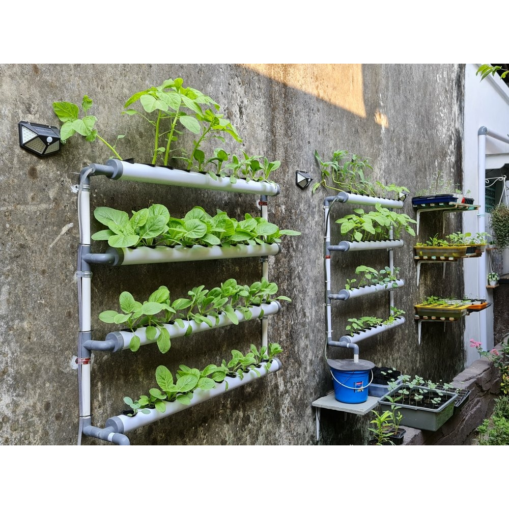 PAKET Instalasi Hidroponik Model PIGORA 2.5 inc - Pipa pvc 48 Lubang Tempel Dinding