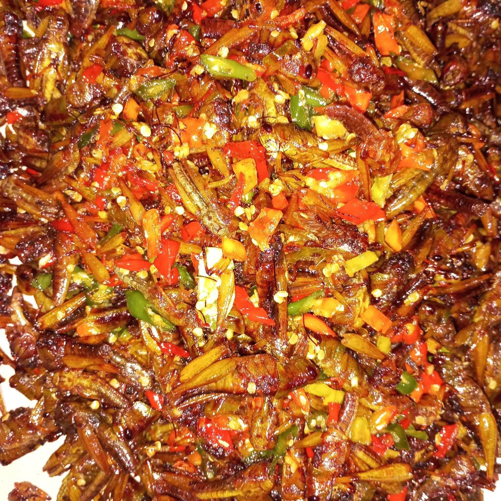 

Belalang kayu/Besar irisan Cabai