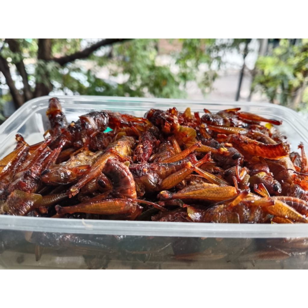 

Belalang kayu/Besar pedas gurih