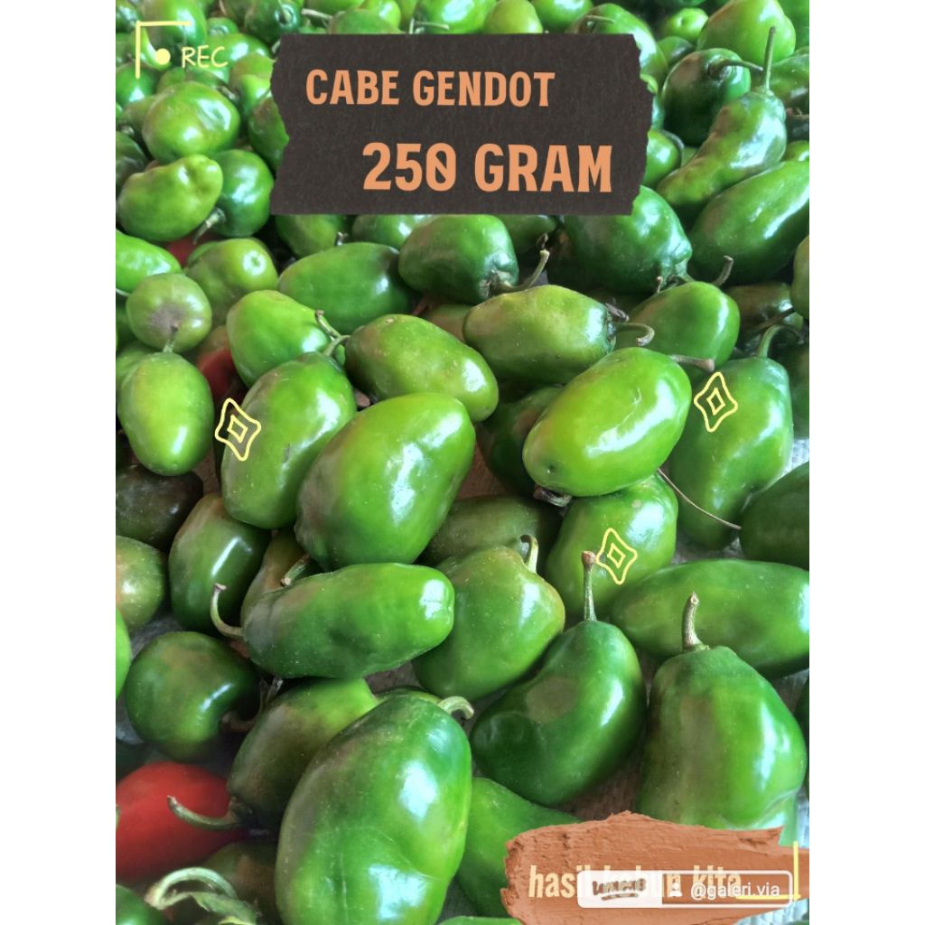

CABE GENDOT | CABE GENDUT |CABE BENDOT PEDES SEGER 250 GRAM ASLI DIENG