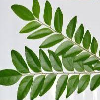 

Daun Kari 50gr