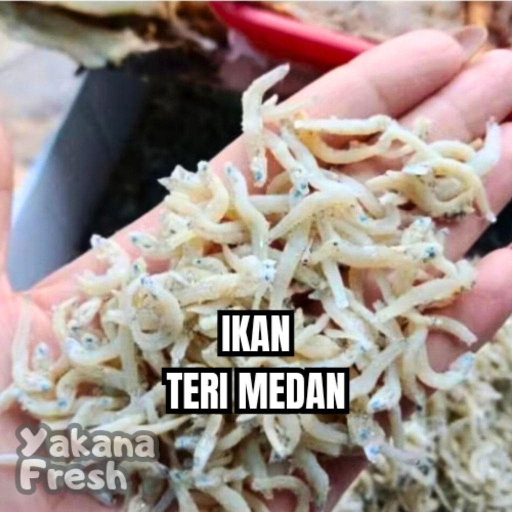 

Ikan Teri Medan 100g