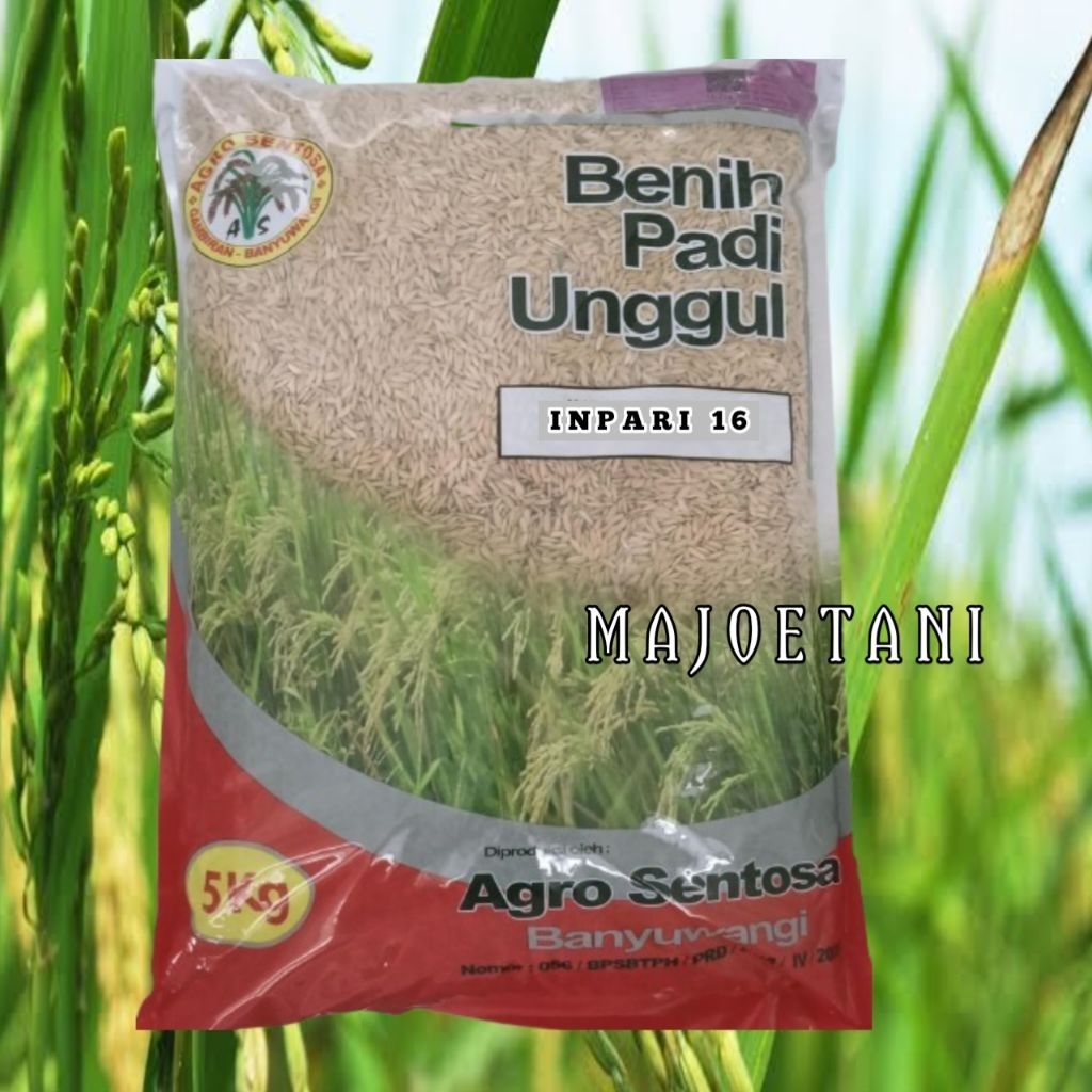 Benih padi INPARI 16 PASUNDAN 5kg