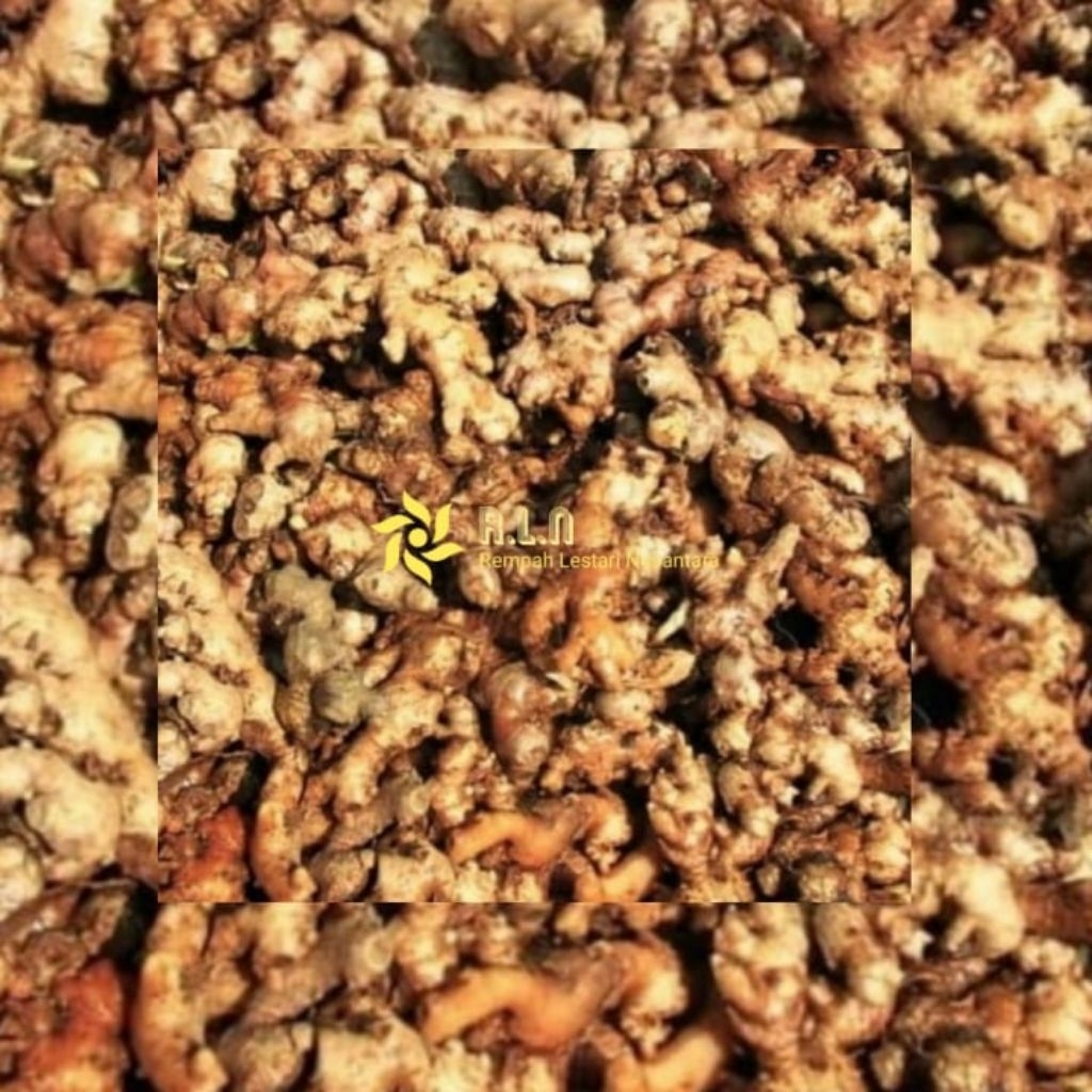 

jahe emprit 1 kg