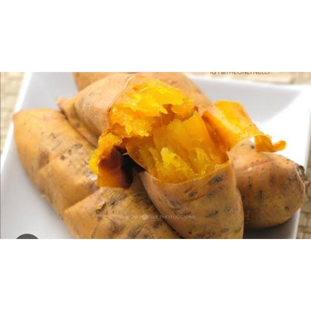 

ubi cilembu madu asli 1kg
