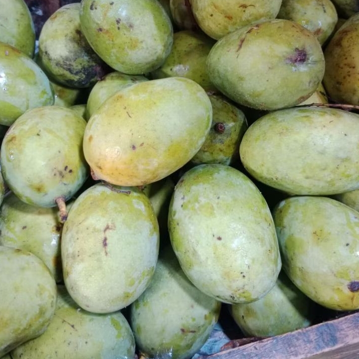 

MANGGA KWENI FRESH 1KG