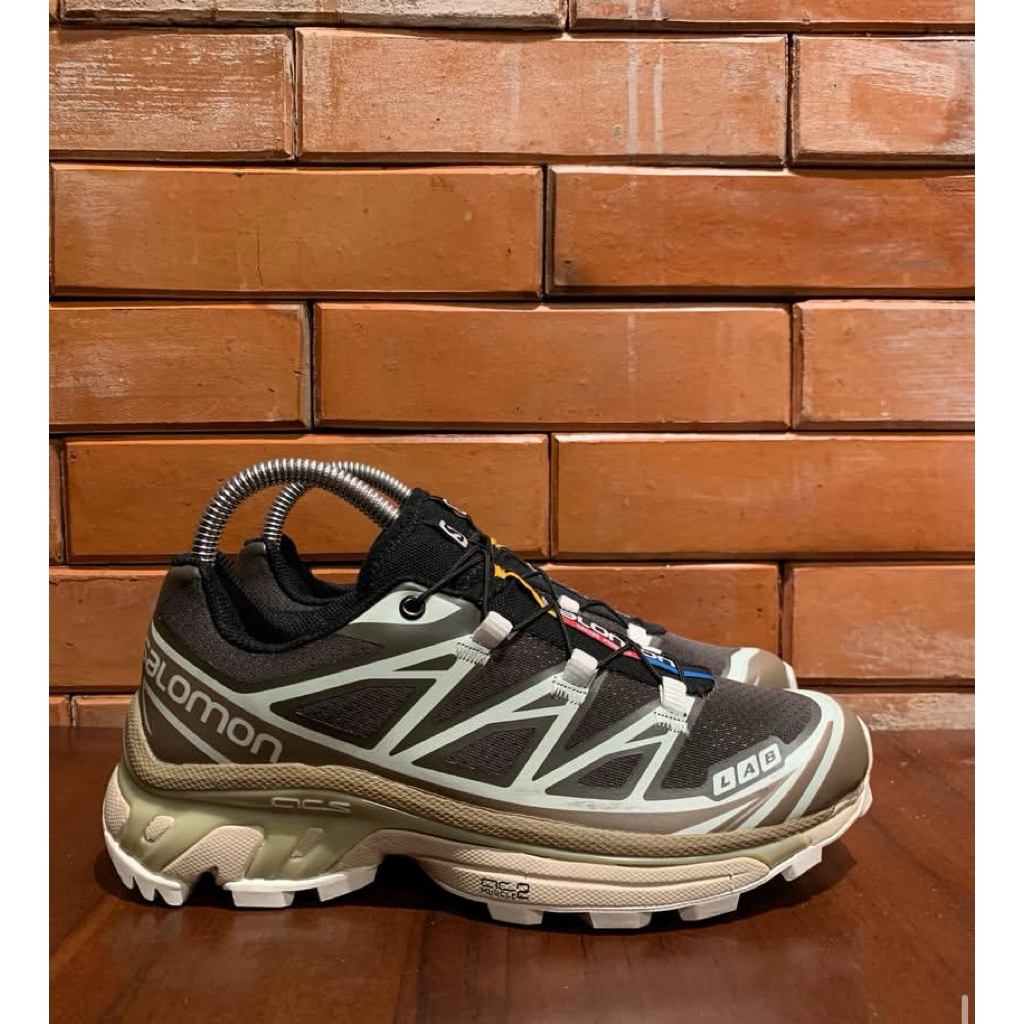 Salomon XT6
