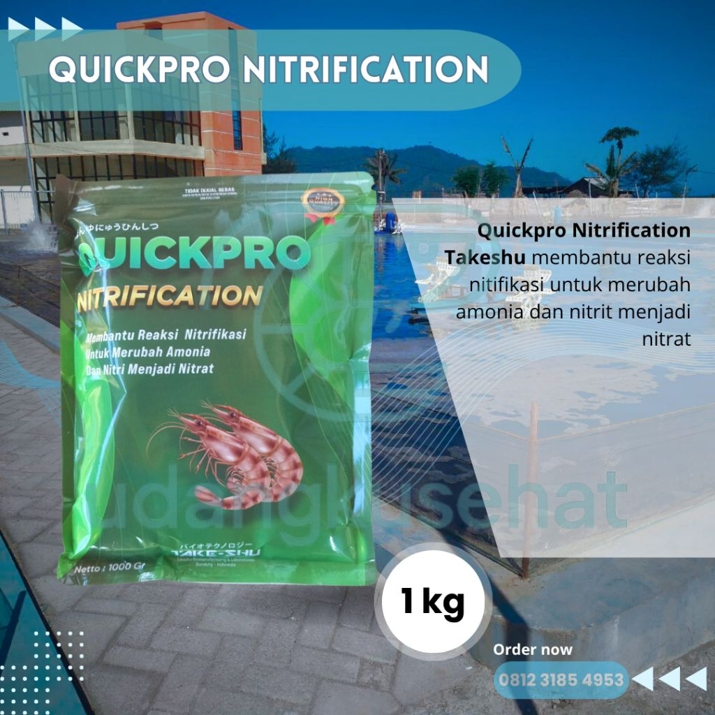 QUICKPRO Nitrification bakteri Nitrifikasi Nitrosomonas sp Nitrobacter sp Pseudomonas sp Memperbaiki