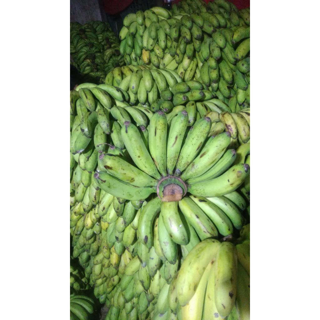 

PISANG BARANGAN ASLI MEDAN/BUAH PISANG/BUAH KAYA MANFAAT