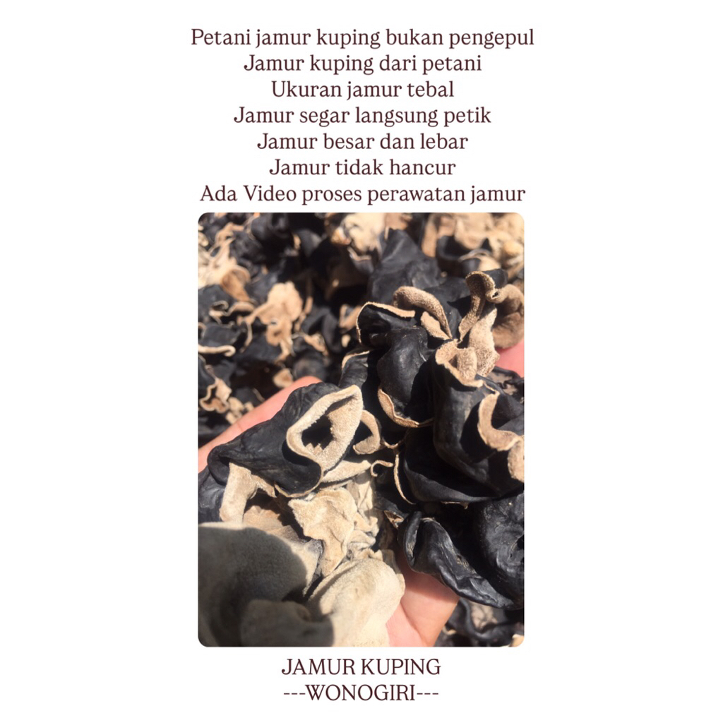 

jamur kuping kering 500gr