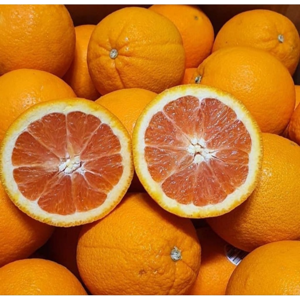 

Jeruk Sunkist Valencia