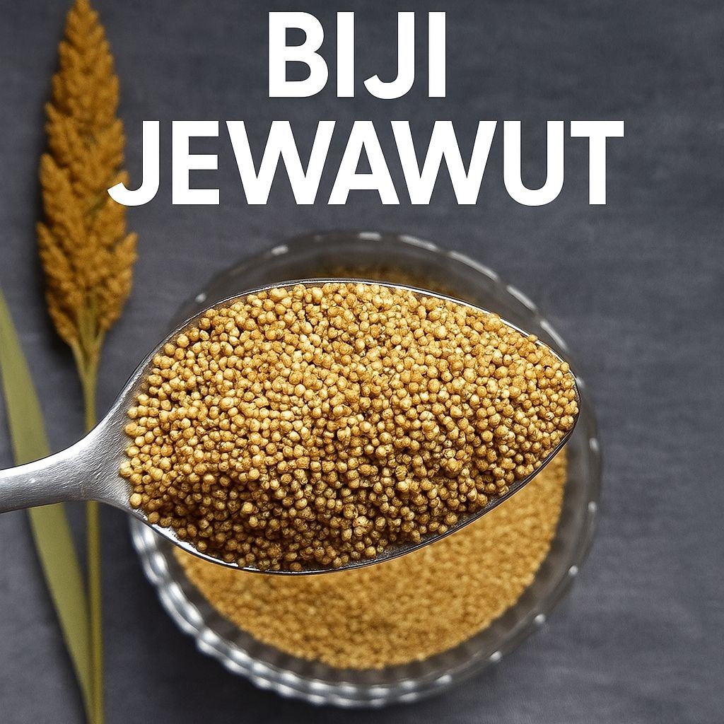 

Jewawut/Millet/Banne 1Kg Untuk Bubur (Bukan Pakan Burung) Siap Konsumsi Asli Kepulauan Selayar