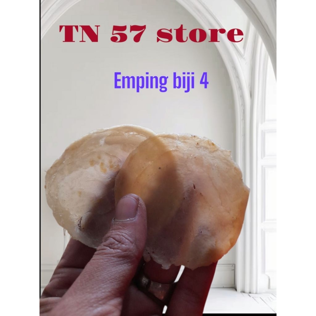 

EMPING MELINJO KEBUMEN FULL KERING uk besar per 1kg(biji 4-5)