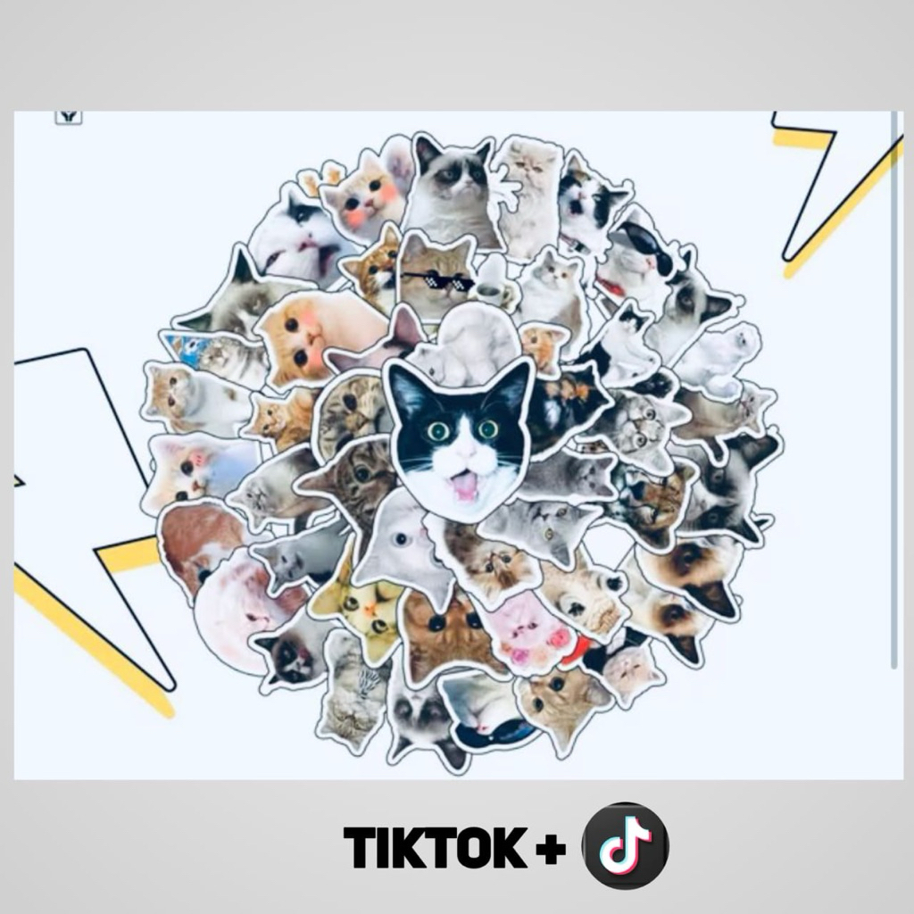 

Stiker Tiktok 1K Kucing Gemoy