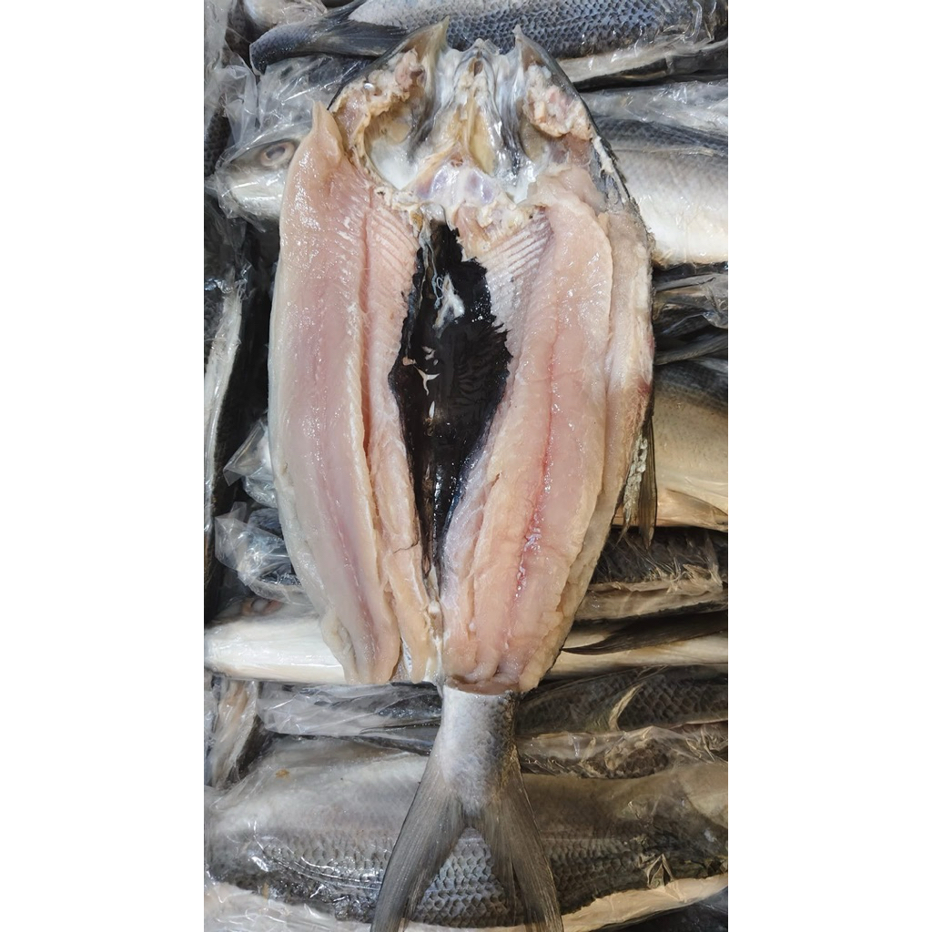 

Bandeng tanpa duri 1EKOR 300GRAM