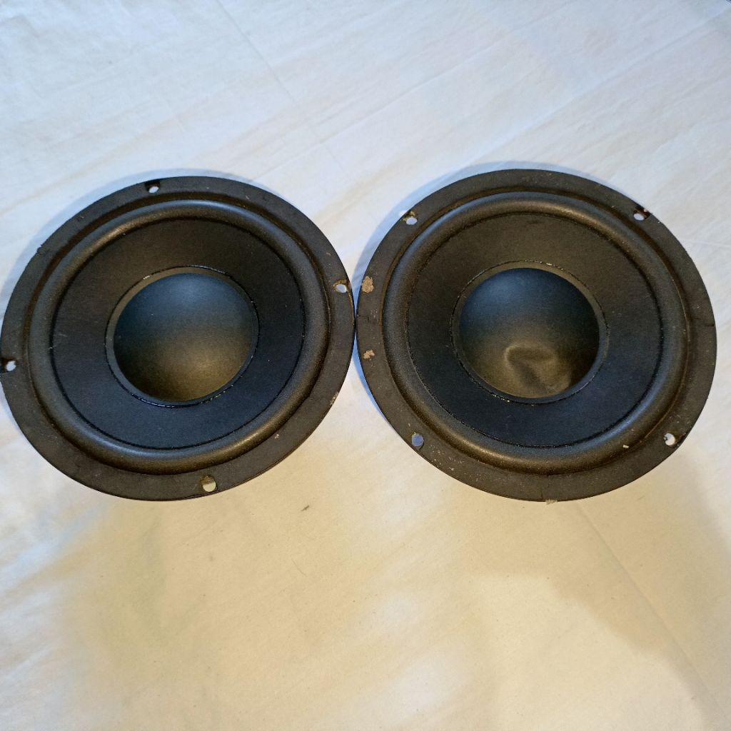 Speaker subwoofer Polytron PSW 500i 6 inch