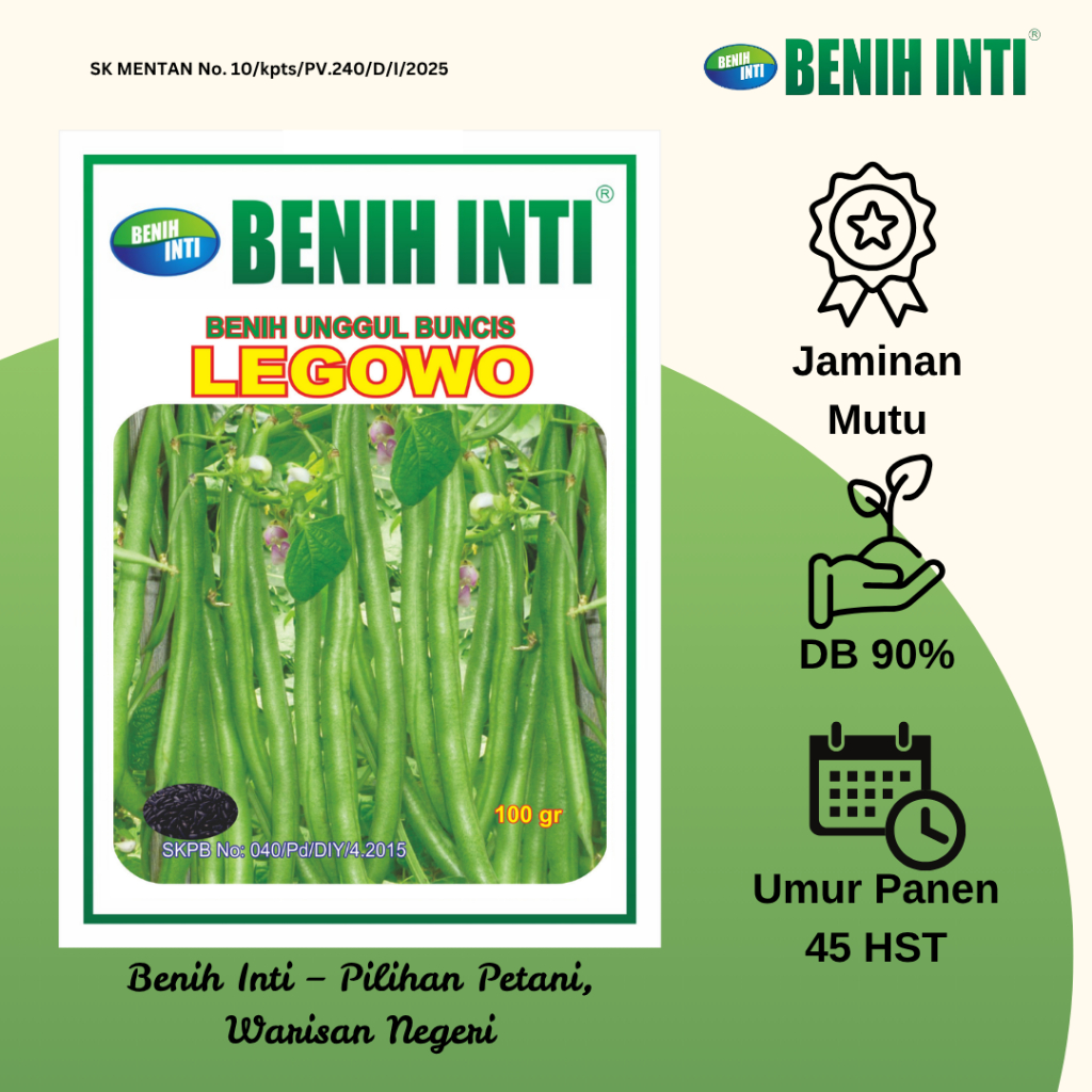 Benih Inti Benih Buncis Hitam Unggul Non Hibrida Legowo