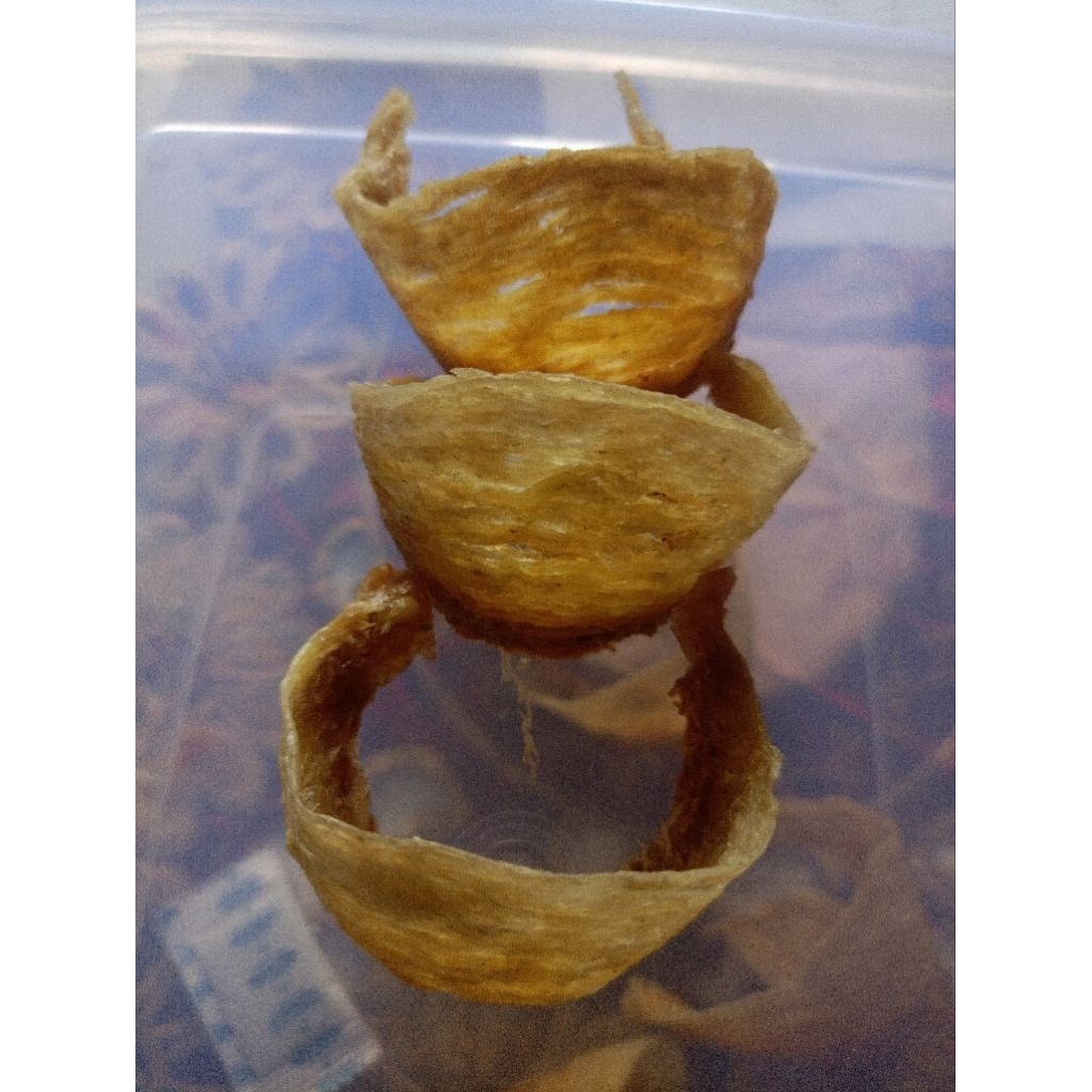 

isi 10gr sarang walet lumut