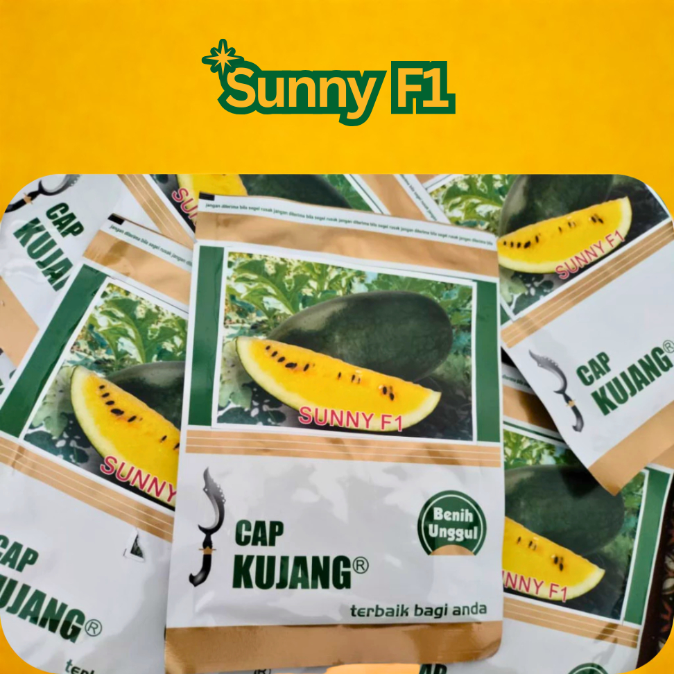Benih Semangka Inul Kuning SUNNY F1 ±500 Biji CAP KUJANG Manis Tahan Virus