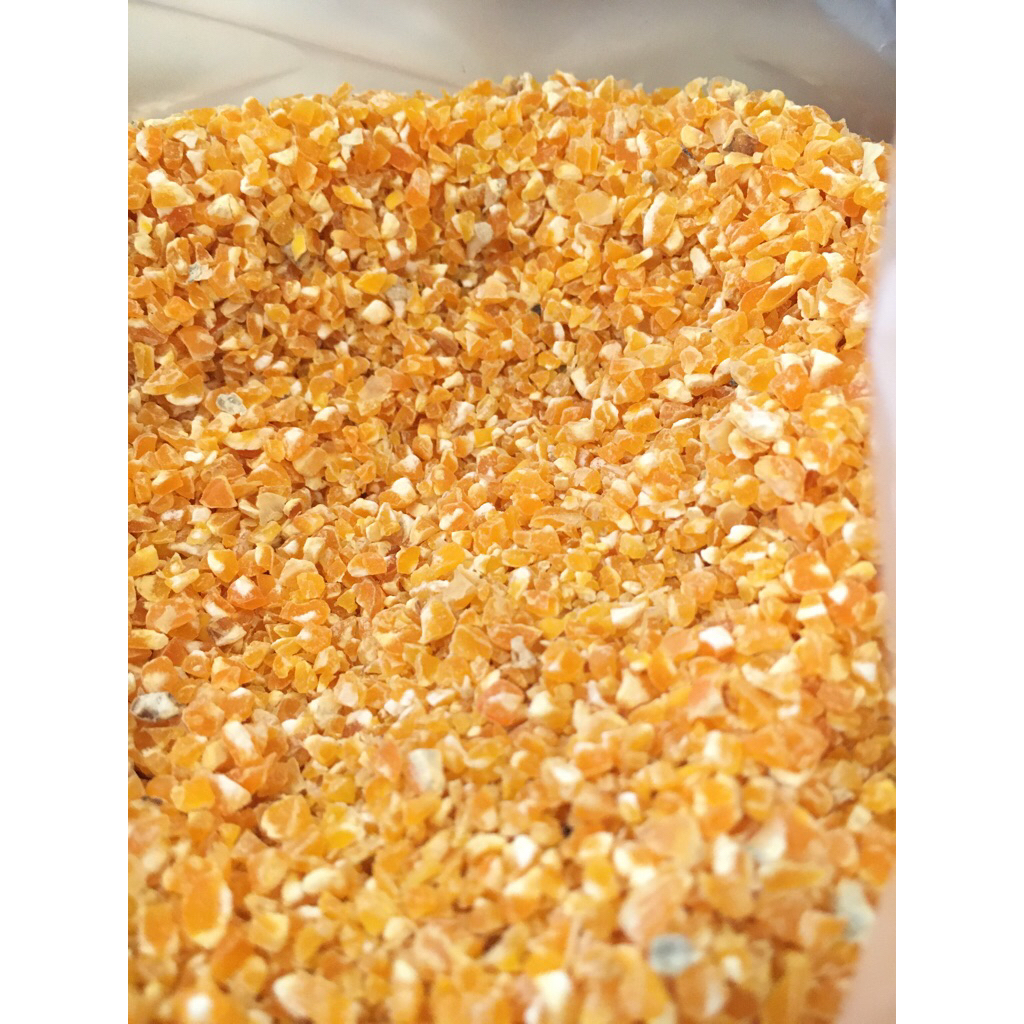 

Jagung menir ecer 1Kg / Jagung selip kecil