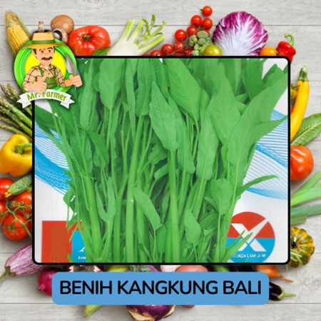Jenis Benih sayuran kangkung Air, Kangkung Bali, Kangkung Darat