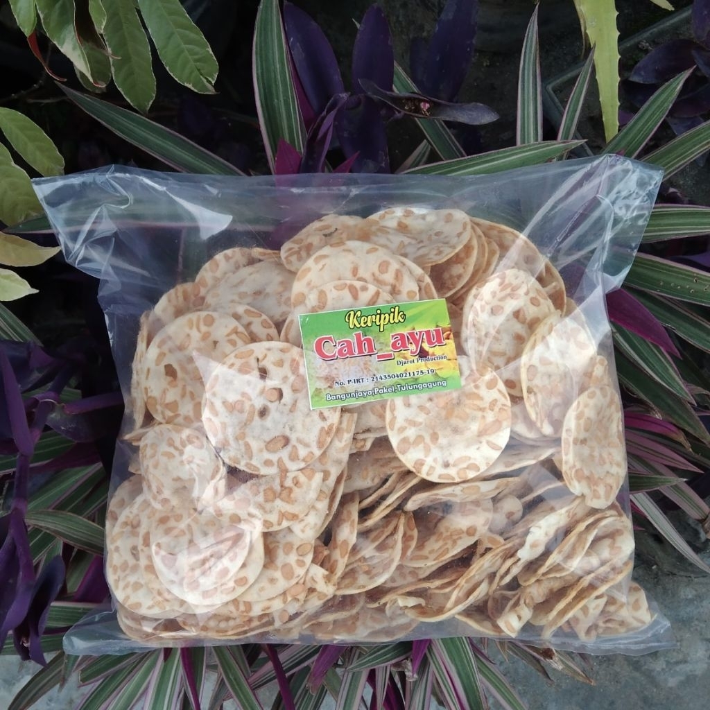

KERIPIK TEMPE SAGU ENAK (500gr)
