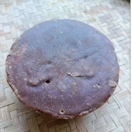 

GULA AREN ASLI MADURA