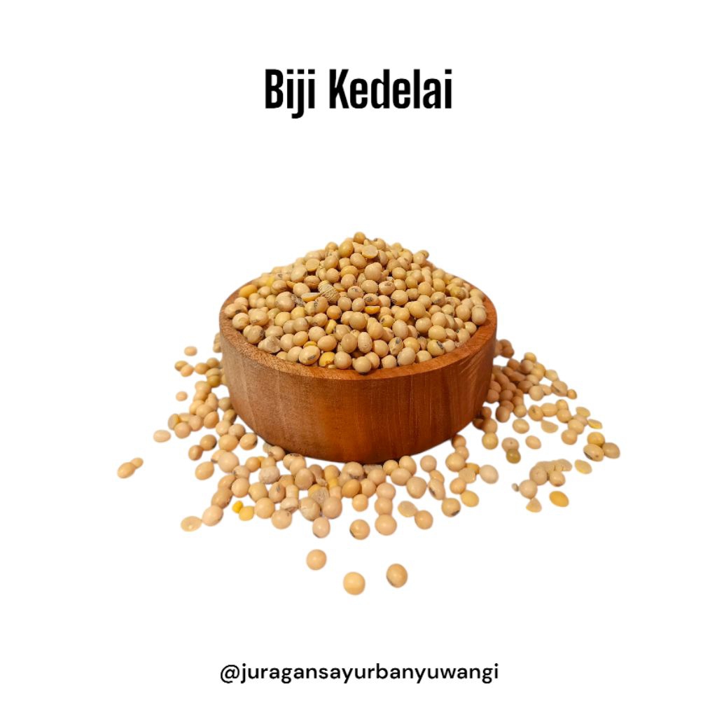 

Kacang Kedelai Impor Amerika Super 1kg