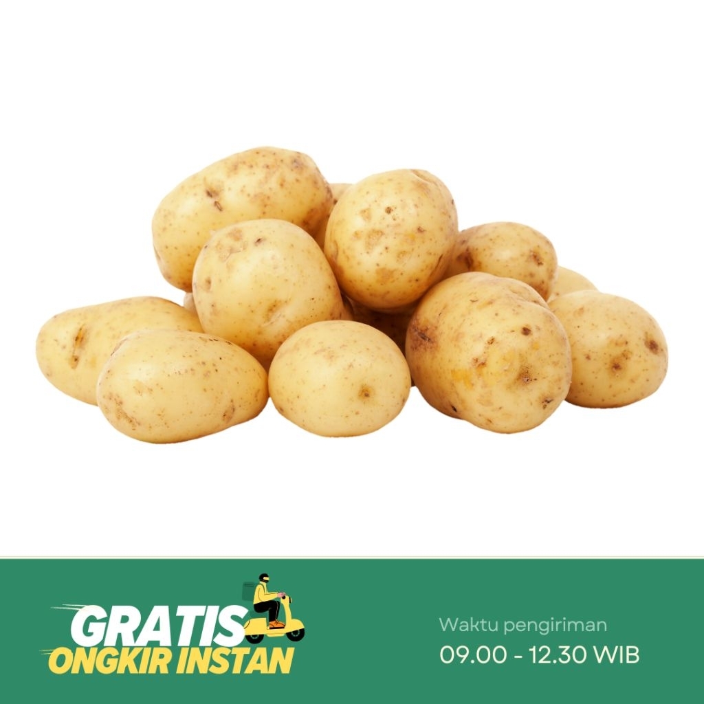 

Kentang Ukuran Sedang