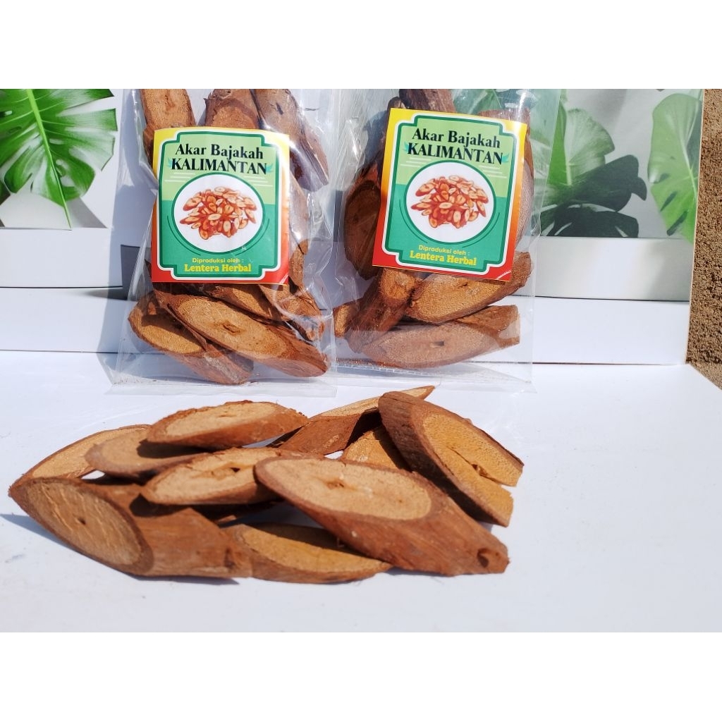 

AKAR BAJAKAH KALIMANTAN 100% alami