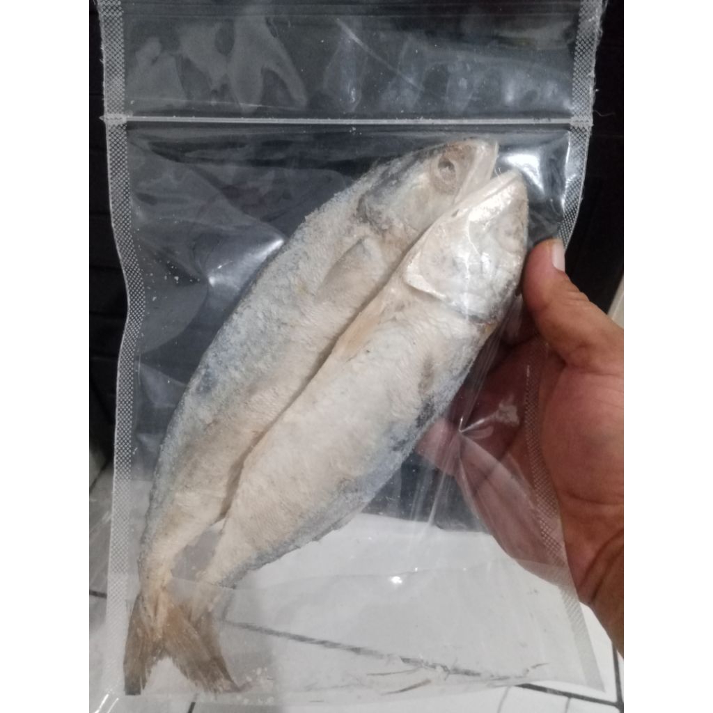 

Ikan Gembung Asin 1kg . Awet Lama! Siap Masak & Nikmati Kapan Saja!
