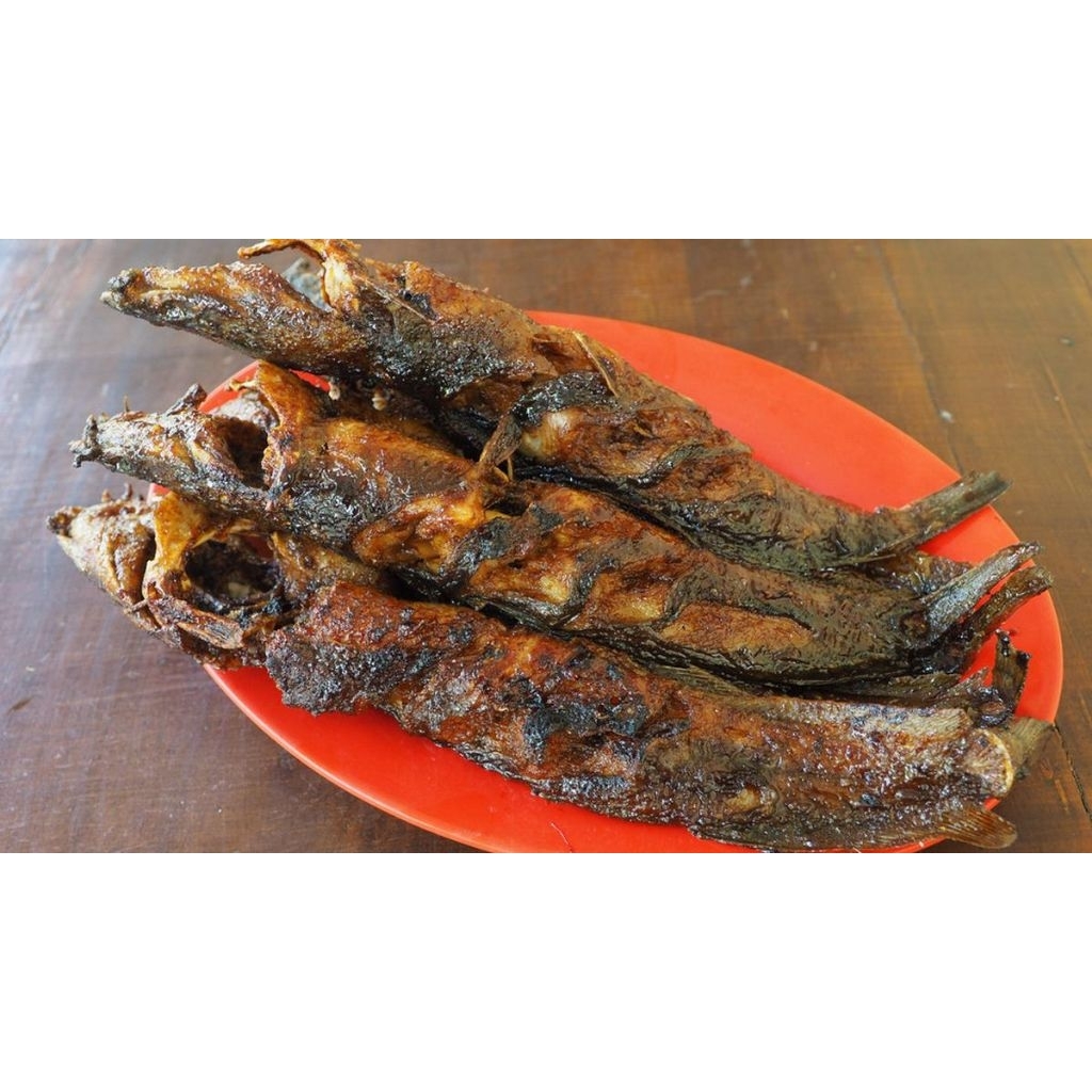 

lele bakar
