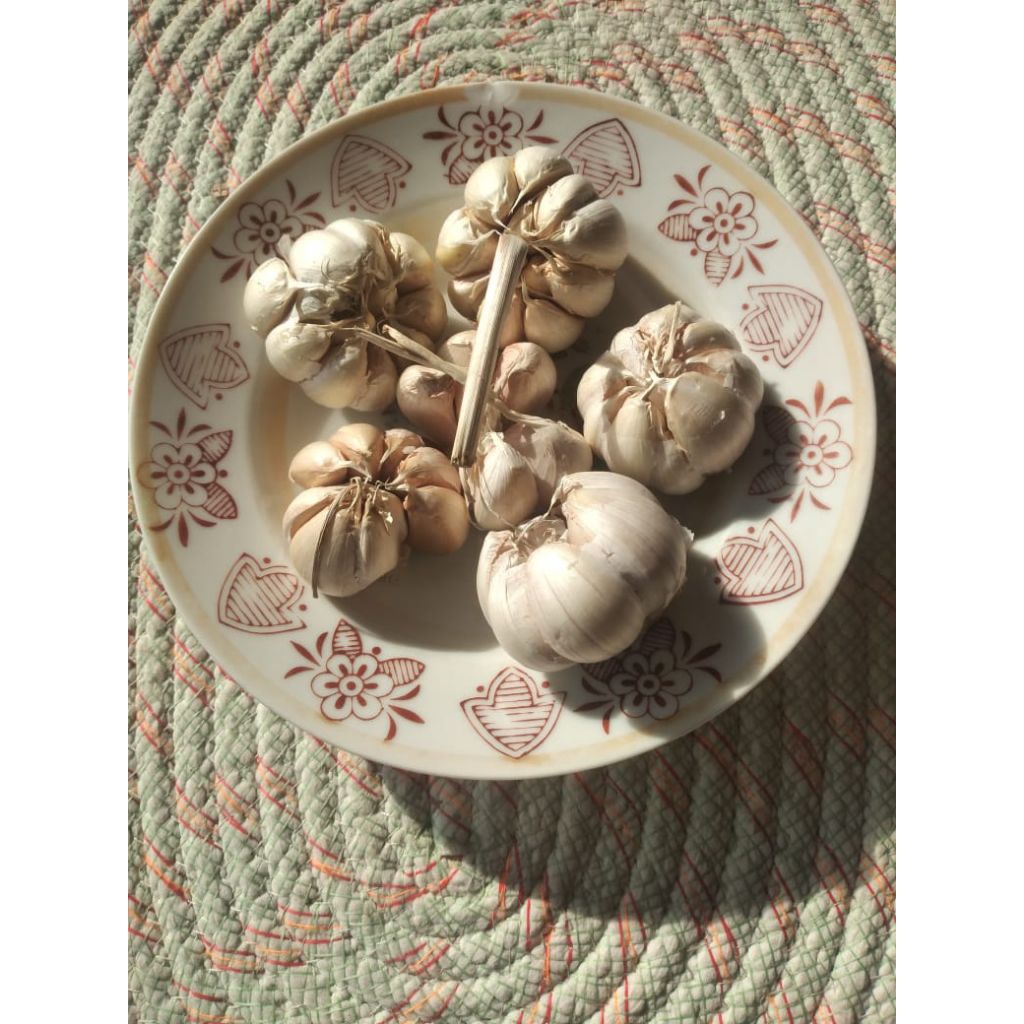 

Bawang Putih Segar Fresh Kiloan 1/4 kg 250gr - Aneka Bumbu Dapur