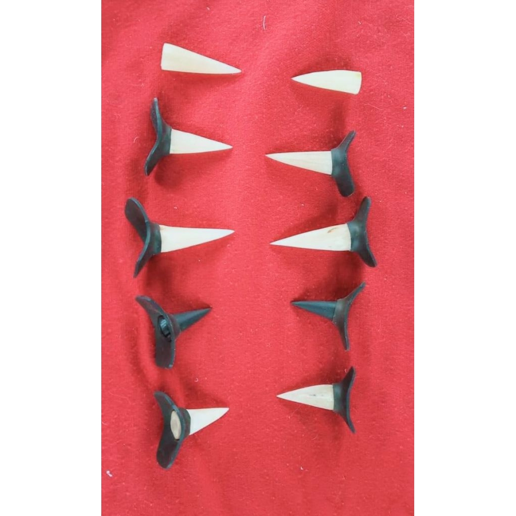 Jalu Ayam jago Jalu sambungan