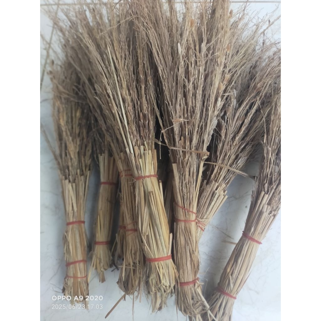 sapu jerami merang padi ketan hitam