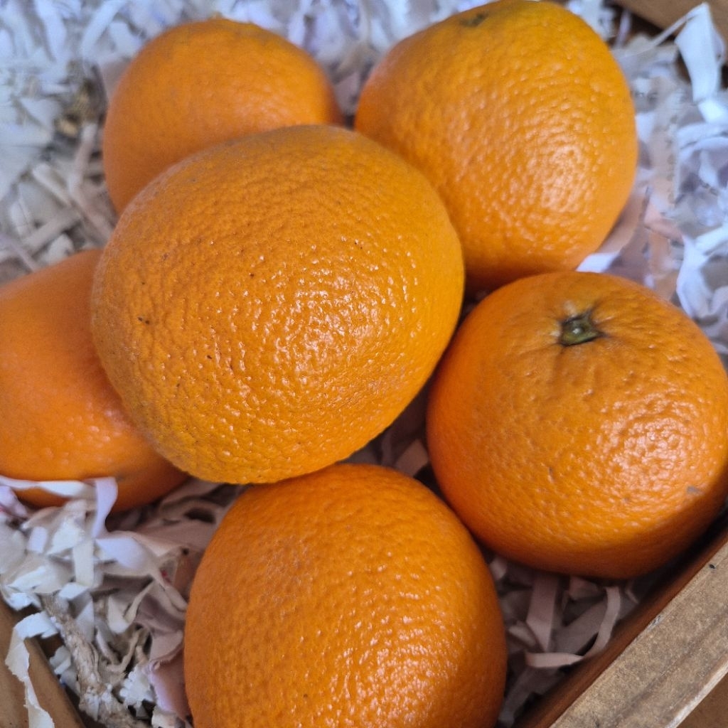 

JERUK SUNKIST IMPORT PREMIUM (1 Kg)