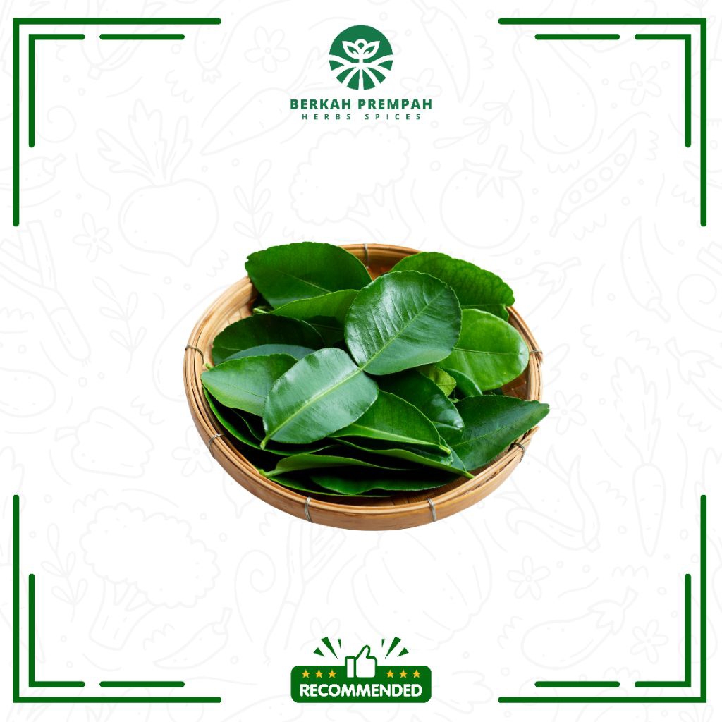 

Daun jeruk segar - Berkahprempah