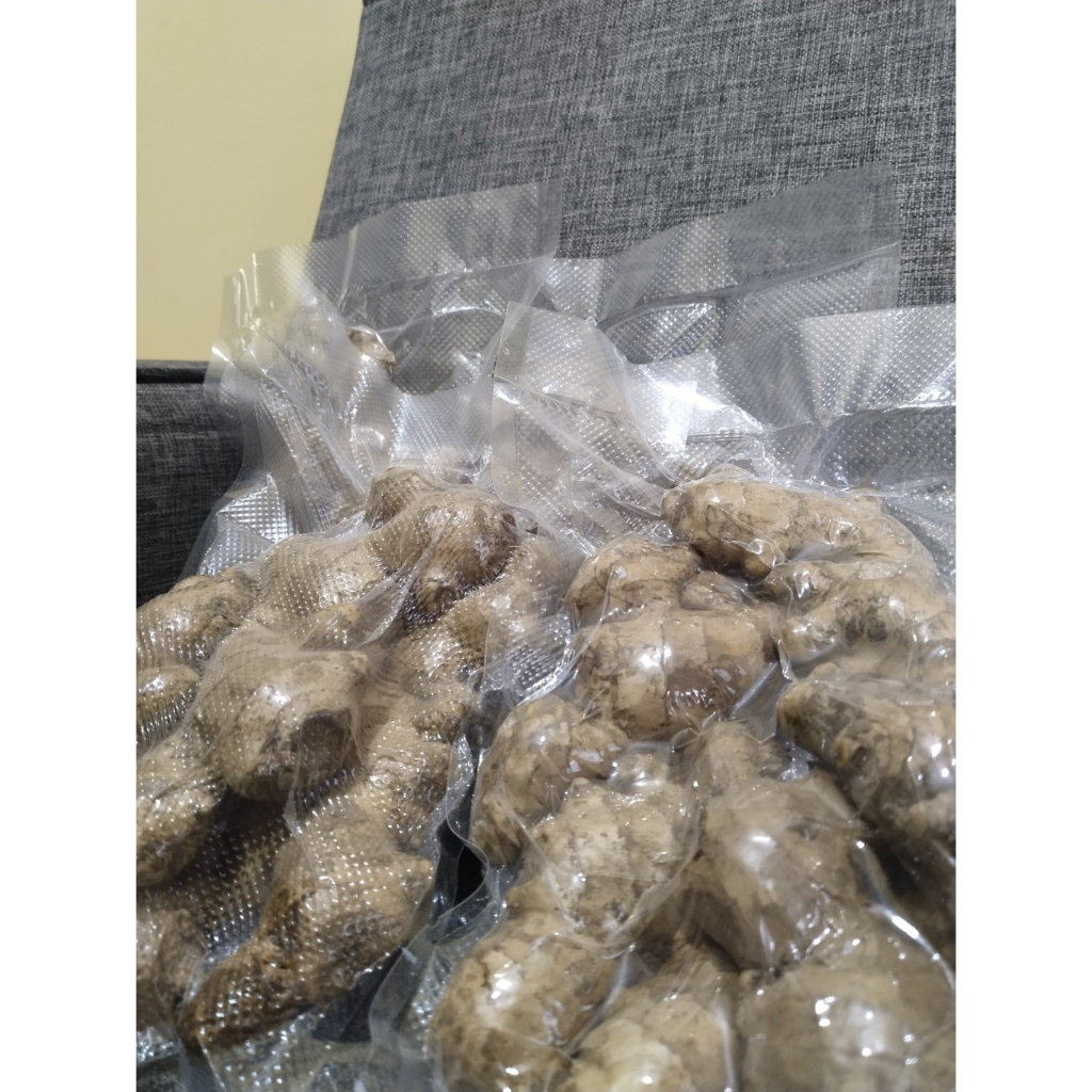 

Jahe Gajah Segar Murah Surabaya 500 Gram