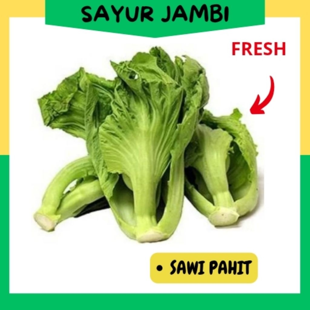 

INSTAN Sayur Sawi Pahit 500gr~sayurjambi