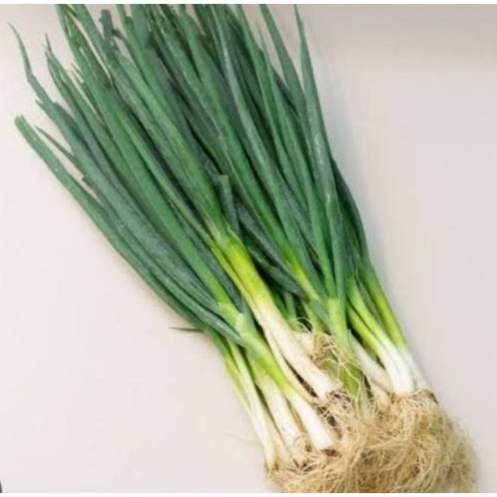 

daun bawang besar 250gr