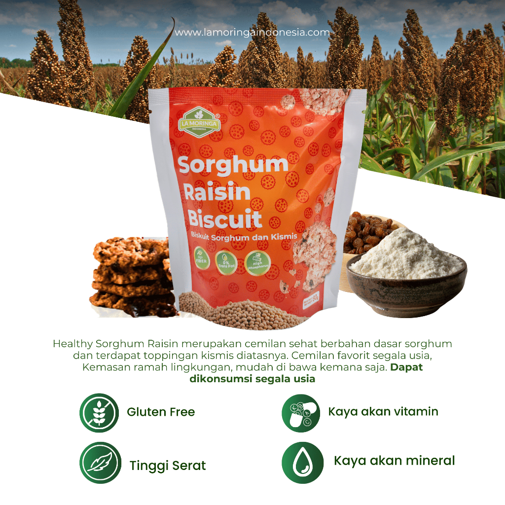 

QH (BUY1GET1) Healthy Sorghum Raisin 80 Gr/Cemilan Gluten Free Terbaik/Cocok untuk Segala Usia
