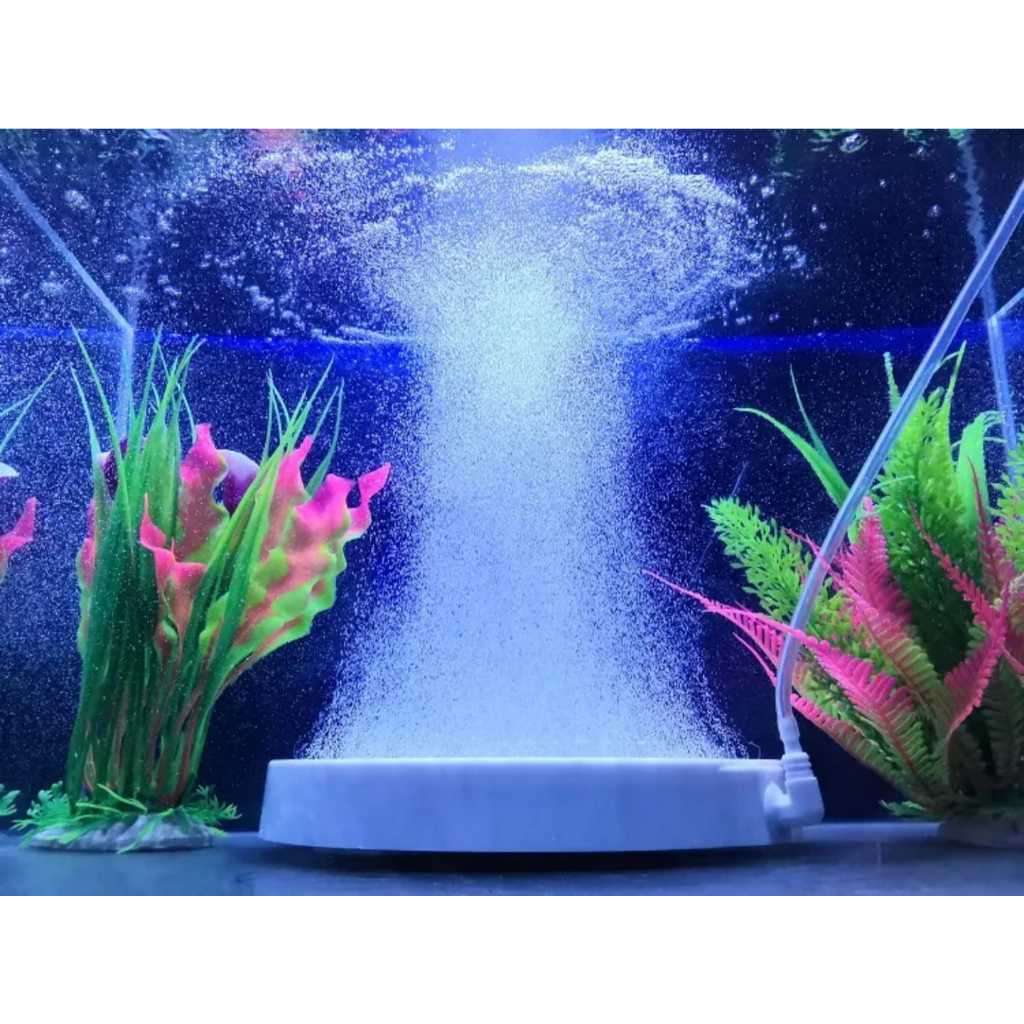 Air Stone Batu Gelembung Udara Halus Nano Airstone Micro Aerator Bulat Pipih Aerasi Oksigen Aquarium