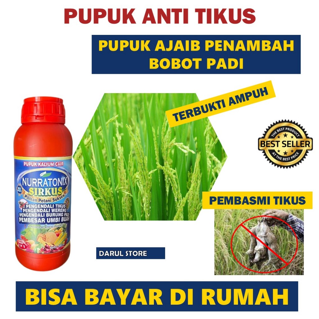 Pupuk Atasi Hama Tikus Padi Paling Ampuh SIRKUS NURRATONIX Terlaris - Pupuk Cair Hama Tikus Padi Saw