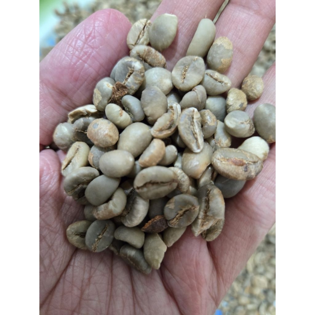 

Kopi Robusta Gunung Ijen 1 kg