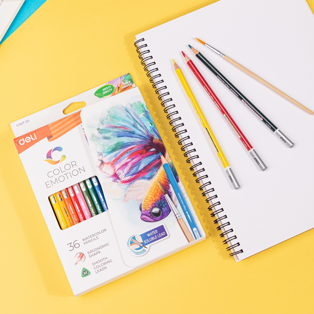 DELI PENSIL WARNA WATER COLOUR 36W EC00730