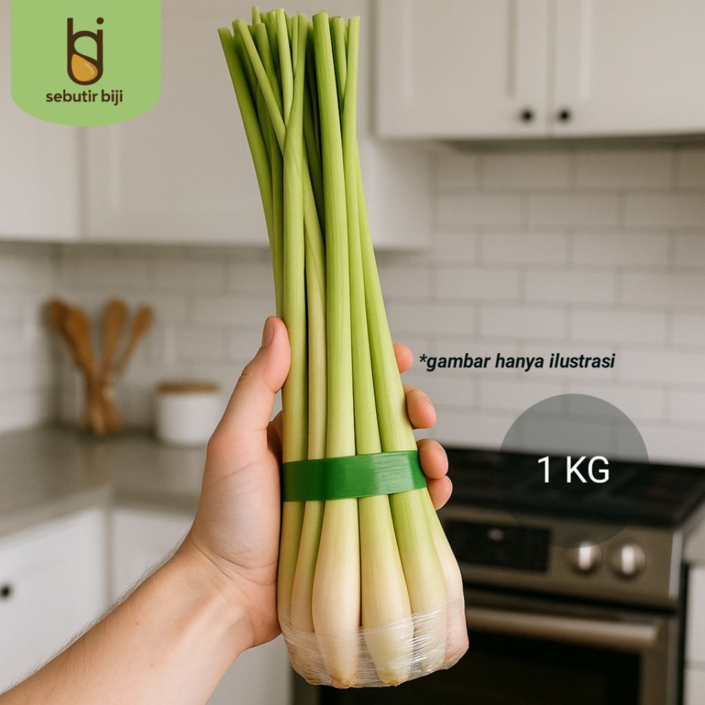 

Sereh Segar / Serai Segar Per 1 Kg dan 500 gram - Bumbu Dapur, Rempah, Herbal Alami