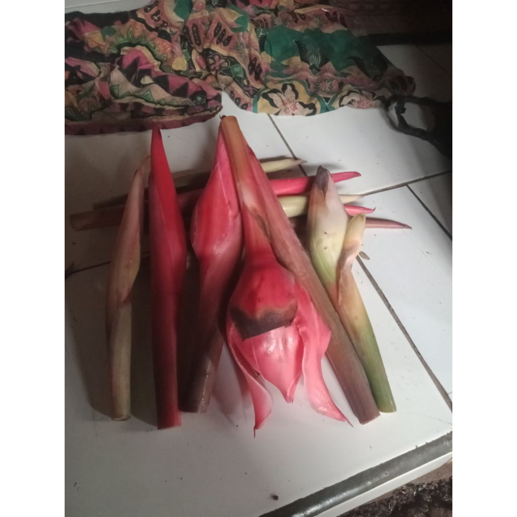 

ready buah honje segar free/1kg