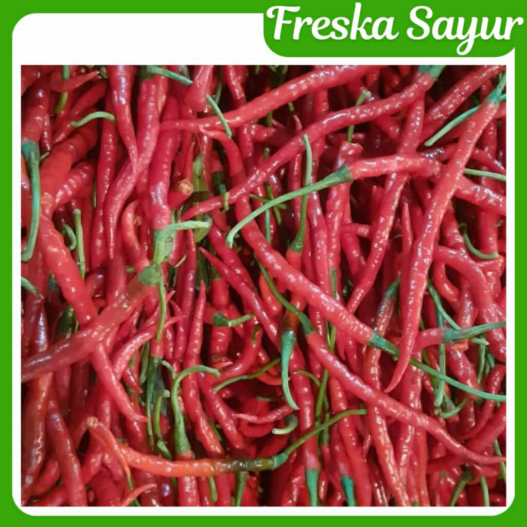 

Cabai Merah Keriting 500 gr | Cabe Keriting Merah